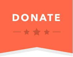 Donate Flag Icon
